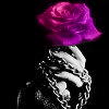 Avatar do Utilizador