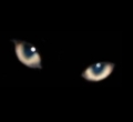 Avatar do Utilizador